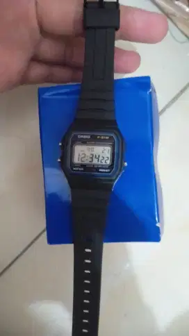 Casio F-91W (593)