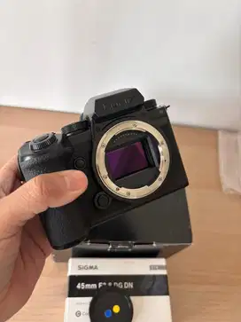 Lumix S5IIx S5 Mark IIx Body Only Mulus Masih garansi