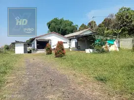 Jual tanah kebun ex kandang sapi di Pakuhaji Pasirhalang cisarua bdg
