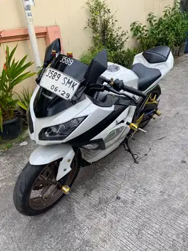 Kawasaki Ninja 250cc FI ABS th 2013