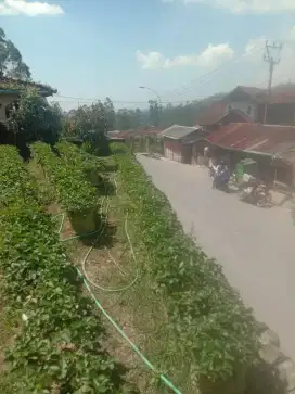 Jual tana pinggir jalan ciwidey