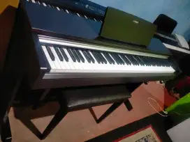 Dicari Digital Piano, Clavinova, Arius, Keyboard, Amply Keyboard dll