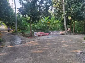 Tanah Murah dan Bagus untuk invest