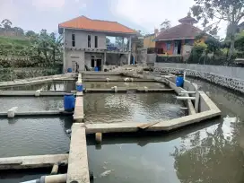 Jual Villa dua lantai dan kolam ikan