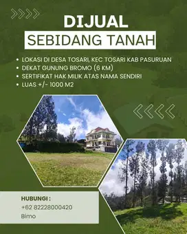 Dijual Tanah Desa Tosari Pasuruan Lokasi Strategis Dekat Gunung Bromo
