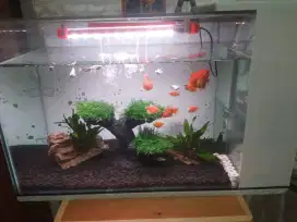 Aquarium filter samping fullset tinggal colok