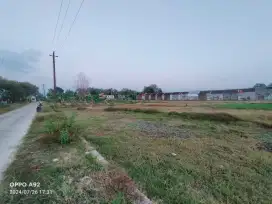 Tanah datar strategis Murah jeruk sawit karanganyar