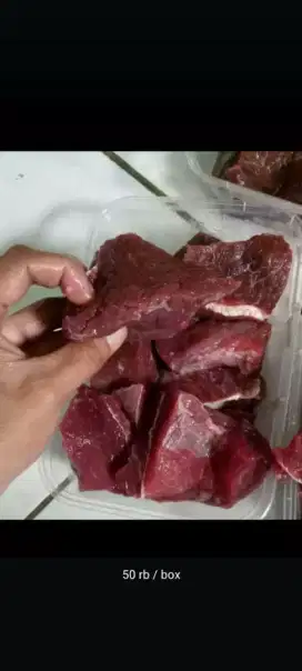 Daging sapi potong