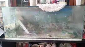 akuarium aquarium 1 meter lebar 40 cm tinggi 40 cm
