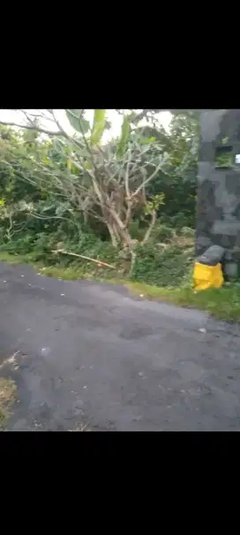 Dijual tanah murah, 1,25 are di jl lembu sora denpasar