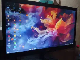 Led monitor LG2Oinch