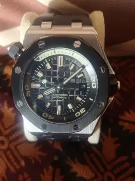 Audemars piguet ROO divers