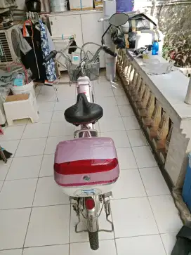 Jual cepat, sepeda sayur?