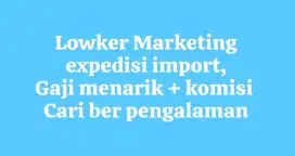Marketing pengalaman expedisi import