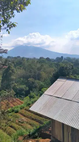 Tanah D caringin View Gunung salak Sejuk Jln lebar