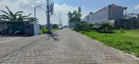 JUAL TANAH PURA DEMAK 9 ARE
