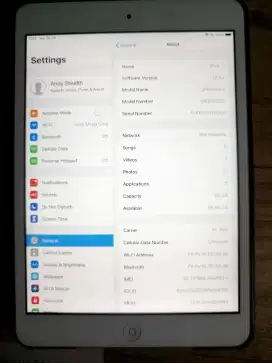 Ipad mini 2 64gb  cellular + wifi, silver