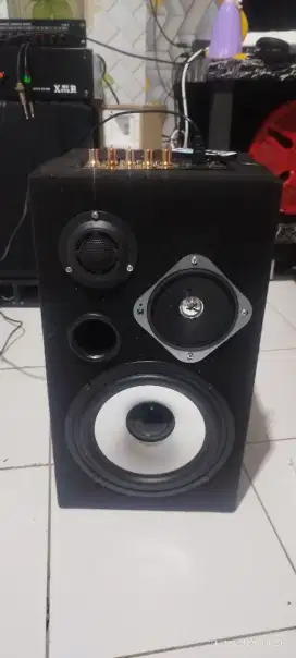 Jual Santai Ampli Board akitanuntuk karouke 8.3way