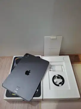 Second ipad pro m4 11inc 256 black cell