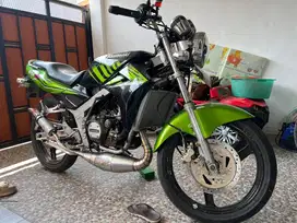Ninja SS Hijau Zebra
