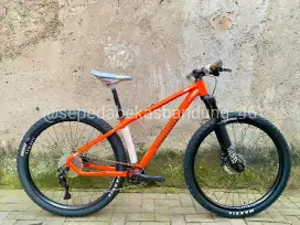 MTB/Sepeda Gunung DOMINATE AXC 2 29ers NEW