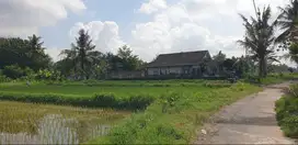 Tanah Hoek Pedesaan utk Slow Living ke Malioboro Hanya 30 Menit
