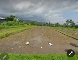 Tanah sawah cocok kavling perumahan jalan utama ds panji singaraja