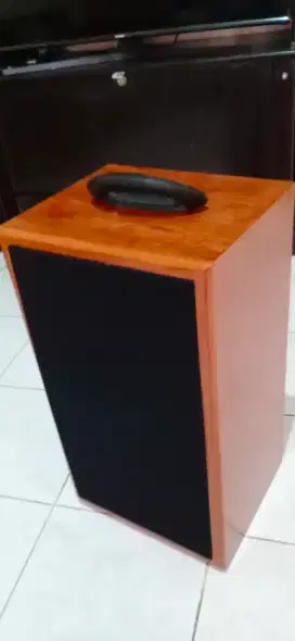 Speaker portable