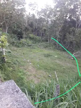 JUAL TANAH DI BANJARASRI KALIBAWANG KULONPROGO