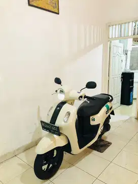 YAMAHA FAZZIO NEW ISTIMEWA 2023 Pajak Hidup