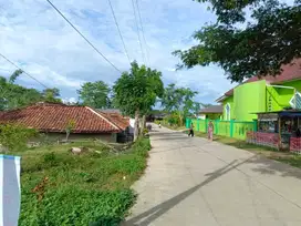 View Sawah & Bukit, Mulai 800 Rb-an Kavling SHM Bekasi