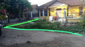 Tanah Pekarangan Bagus Murah di Kasihan Bantul TP 018