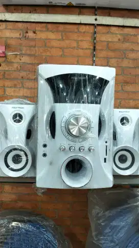 Speaker Polytron