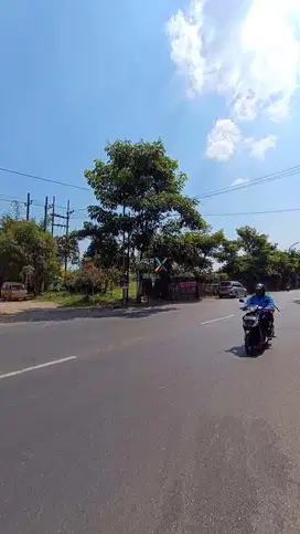 Tanah strategis luas poros jalan kolonel sugiono gadang sukun malang