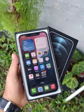 iPhone 12 Pro Gold 256gb inter Fullset