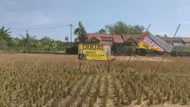 Jual Tanah Seluas 2032 m2 SHM Lokasi Pinggir Jalan Raya di Cigasong, M