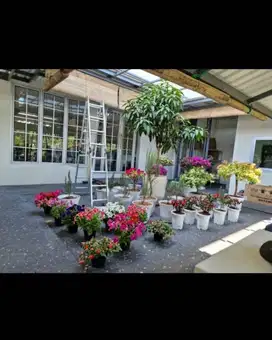 Cafe View Gunung di Cianjur