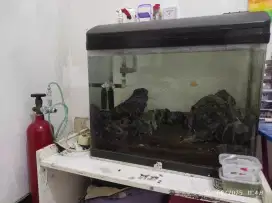 Aquarium dan Tabung oksigen