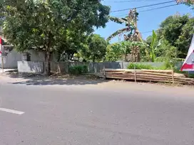 Tanah Kampus Jalan Utama Dekat Kedokteran Jember