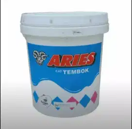 Cat Tembok Aries 1 Pail 20 Kg Termurah