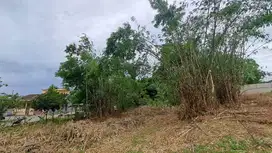 Kavling SHM Cileungsi Dekat Tol & Citraland, Cicilan 12x!
