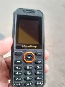 Hp strawberry, kamera , mp 3