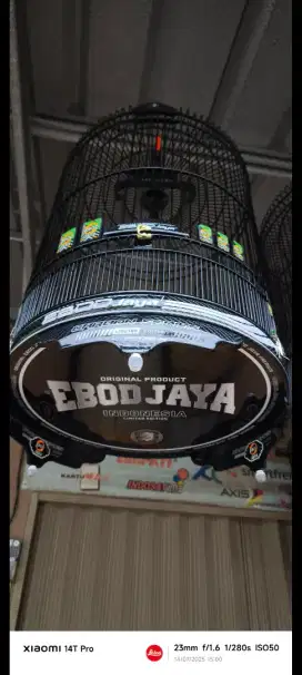 Sangkar ebod pvc kandang ebod decal
