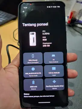ROG Phone 6 8/256