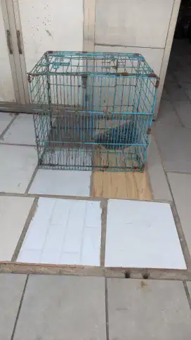 KANDANG KUCING/BURUNG/ANJING/BIAWAK/SINGA/PAUS