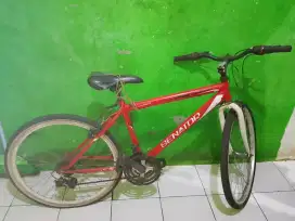 Sepeda senator second
