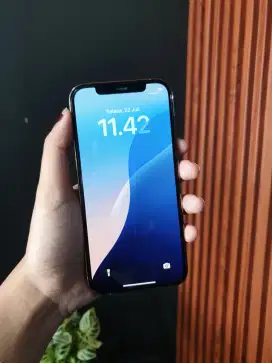 Iphone 12 Pro 256 Beacukai Bh Tinggi Lengkap