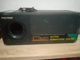 Subwoofer polytron