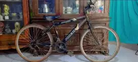 Sepeda pidral phoenix besar ukuran 26