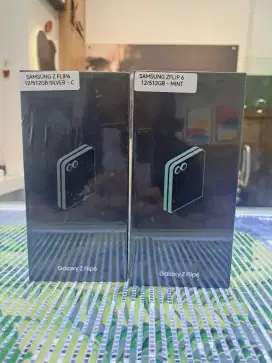 Samsung Galaxy Flip 6